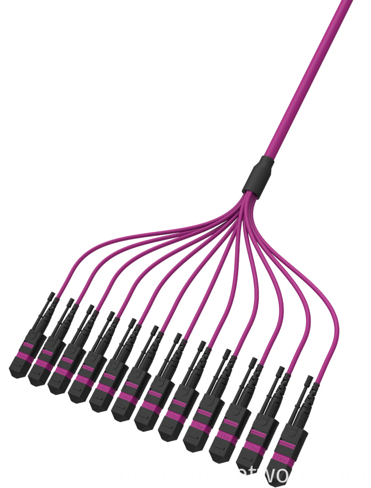 Fiber Optic MTP and MPO Trunk Cable